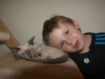 /album/kitten-2012/sh100348-jpg/