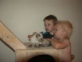 /album/kitten-2012/sh100351-jpg/