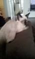 /album/kitten-2012/a20120721-105725-jpg/