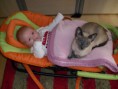 /album/kitten-marz-2011/dsci0209-jpg/